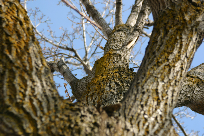 Nature Photography by Nateworks