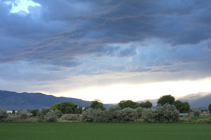 Nature Photography by Nateworks