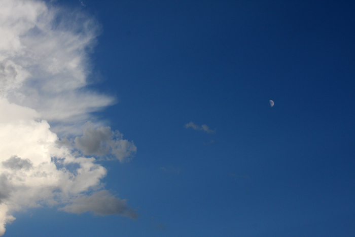 Nature Photography by Nateworks