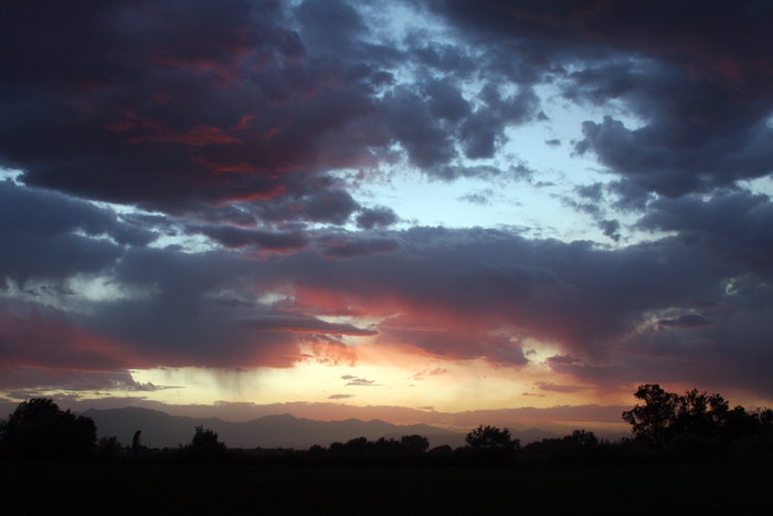 Nature Photography by Nateworks