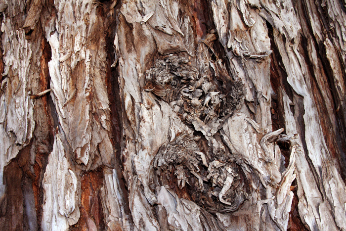 Nature Photography by Nateworks