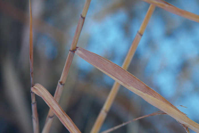 Nature Photography by Nateworks