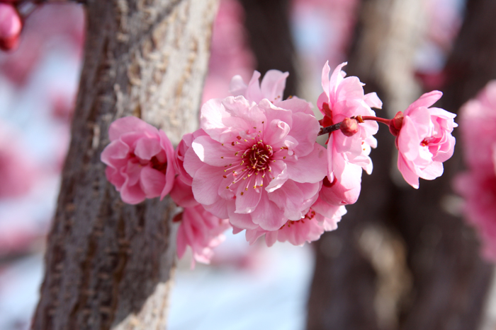 Nature Photography by Nateworks