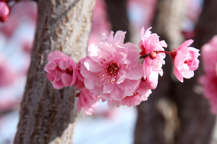 Nature Photography by Nateworks