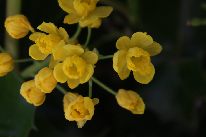 Nature Photography by Nateworks